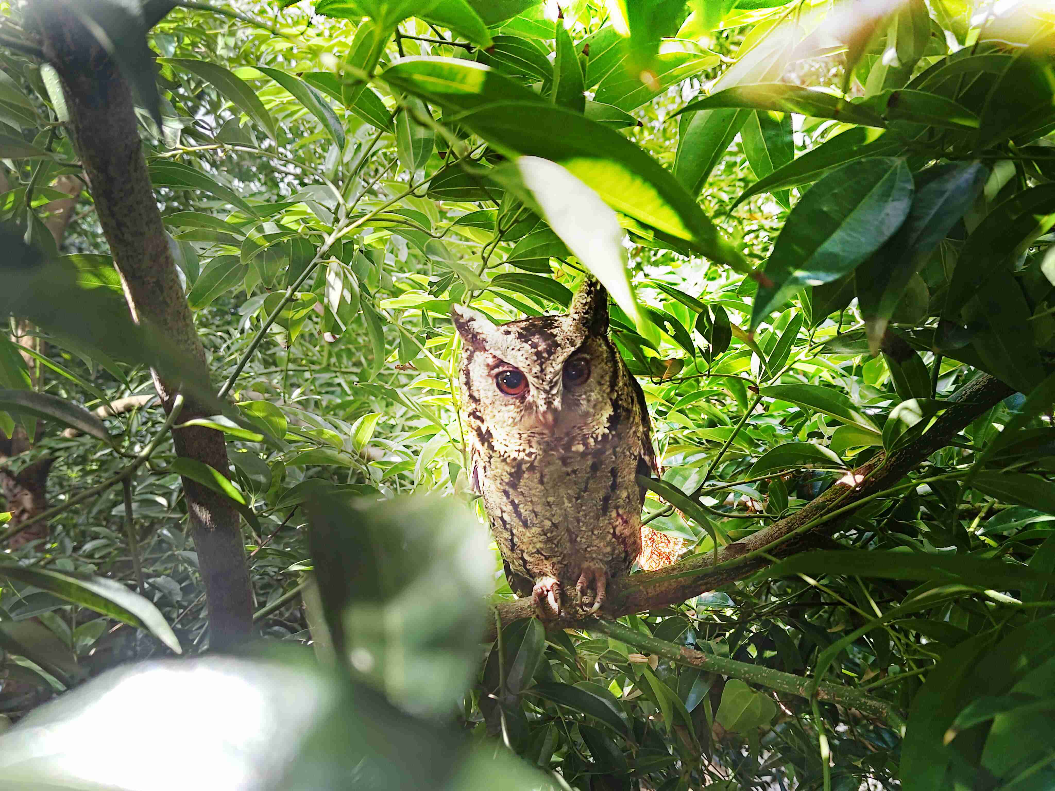 william威廉中文官网致力提倡净零绿生活，，，16年以来在全球各厂区植树逾百万棵，，，造就各厂区树木蔚然成林，，，，犹如森林工厂，，，成为许多生物的栖息地